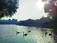 -五缘湾湿地公园