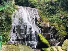 -藏龙百瀑风景区