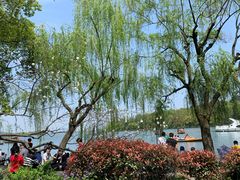 -苏堤停车场