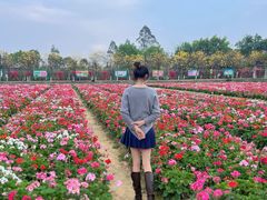 -盈香心动乐园