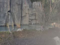 -山湖温泉