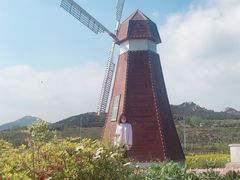 -西海岸生态观光园