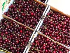 -江杨农产品批发市场