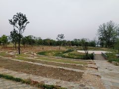 -盘龙城国家考古遗址公园