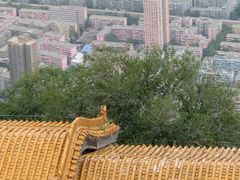-兰山公园