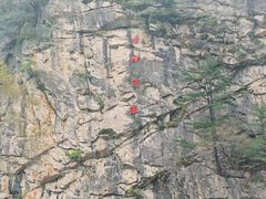 -青峰峡国家森林公园