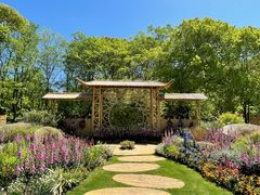 -上海共青森林公园