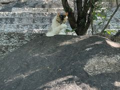 -天津盘山风景名胜区