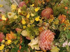 -春树下·树屋花房西餐厅(罍街AS1980店)