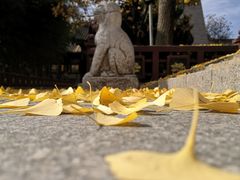 -法门文化景区-合十舍利塔