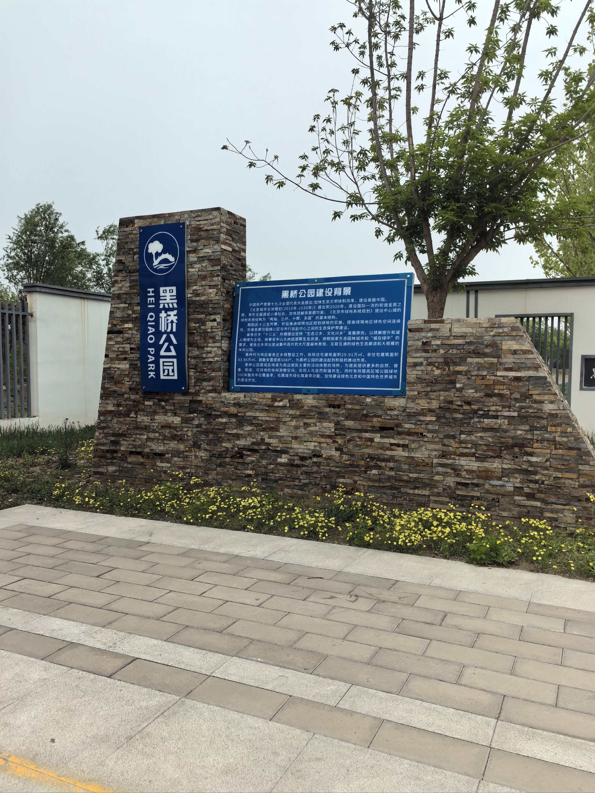 黑桥公园想必大家都去过了,里面很大,这次我绕了湖中心走的,树99