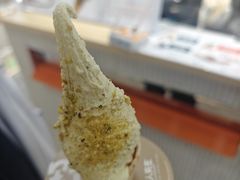 -野人先生现做冰淇淋(西安赛格店)