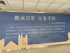 -南山图书馆(常兴路店)