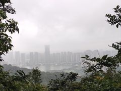 -桃花岭景区