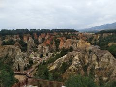 -彩色沙林风景区