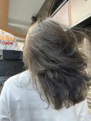 -Will+ Hair Studio
