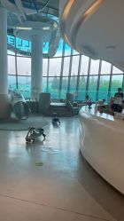 -唯儿诺儿童医院·儿科·眼科·口腔(金桥店)