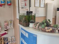 -瑞派·关忠动物医院·猫专科·犬专科(三环新城店)