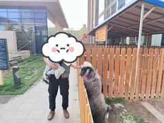 -廊坊固安福朋喜来登酒店