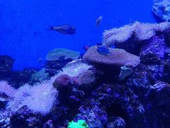 -成都浩海立方海洋公园