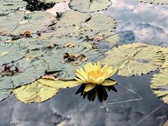 -云溪植物园
