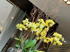 -当米亚诺意大利餐厅(武汉光谷凯悦酒店)