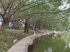 -南国桃园旅游度假区