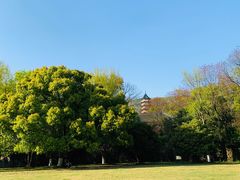 -灵谷景区