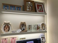 -HIMO海马体照相馆(杭州西溪印象城店)