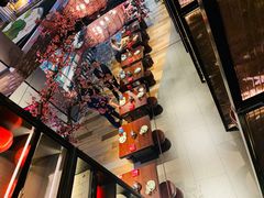 -老板恋上鱼(高新万达店)