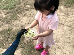 -秀丽东方