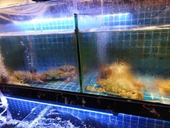 -老地方海鲜坊(步行街店)