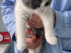 -宠瑞康动物医院