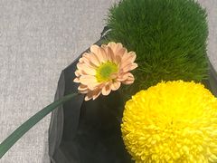 -南堂馆·新川菜(春熙路店)