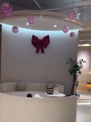 -韩芙莱芳疗spa健康管理