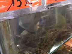 -崖口煲仔饭