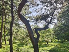 -国家植物园南园