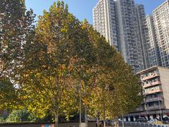 -重庆医科大学附属第一医院(本部)