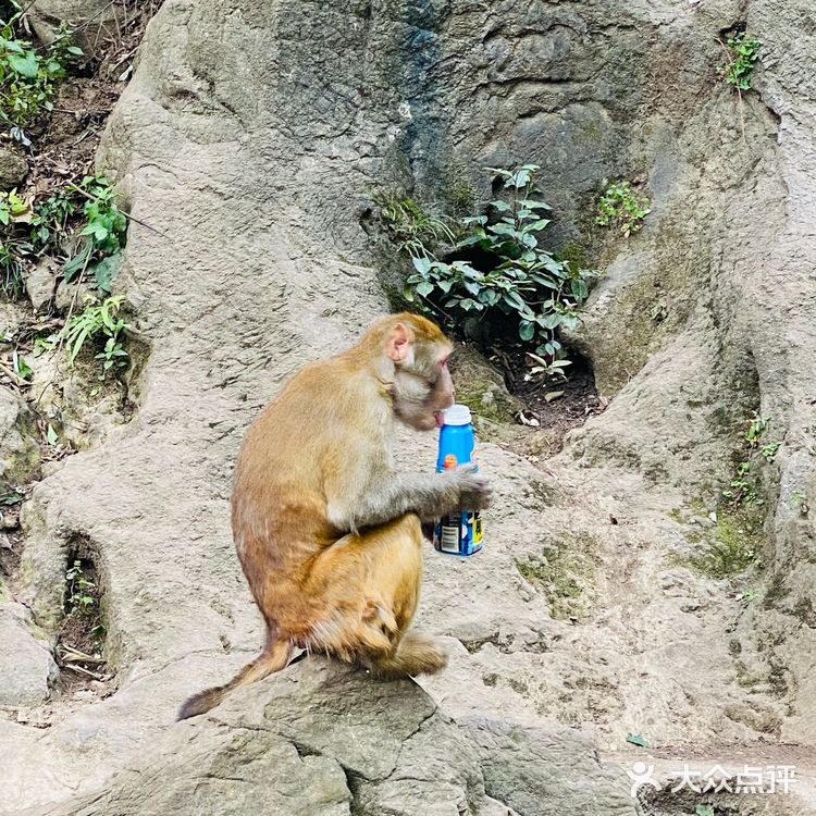 吃吃喝喝玩玩乐乐（贵州黔灵山）