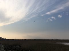 -南汇嘴观海公园