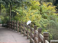 -龙头寺公园