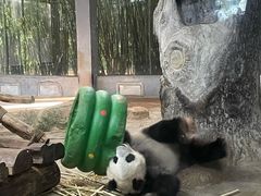 -海南热带野生动植物园