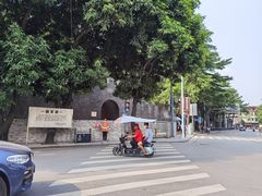 -长洲岛