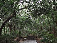 -紫金山山顶公园