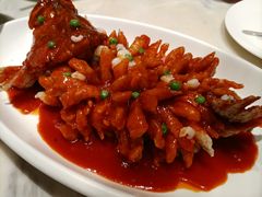 -新梅华餐厅(星悦汇店)