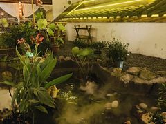 -伴山茶苑·一盏冰茶·半日山居