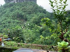 -大面山