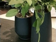 -必胜客(宁海西子国际店)