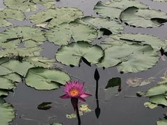 -云溪植物园