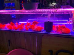 -山东柏宁水族批发广场